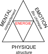 croquis des �nergies